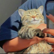 پروفایل دخترونه گربه کیوت خوشگل