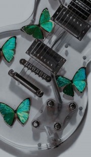 ترکیب پروانه ،گیتار ،شفاف ،😍🥰😘🥂🥂