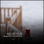 بگذار بگویند و بگویند و بگویند...