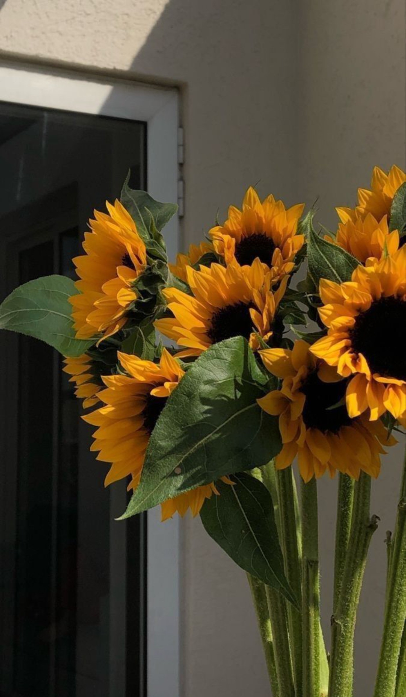 ......................💛🌻💛🌻