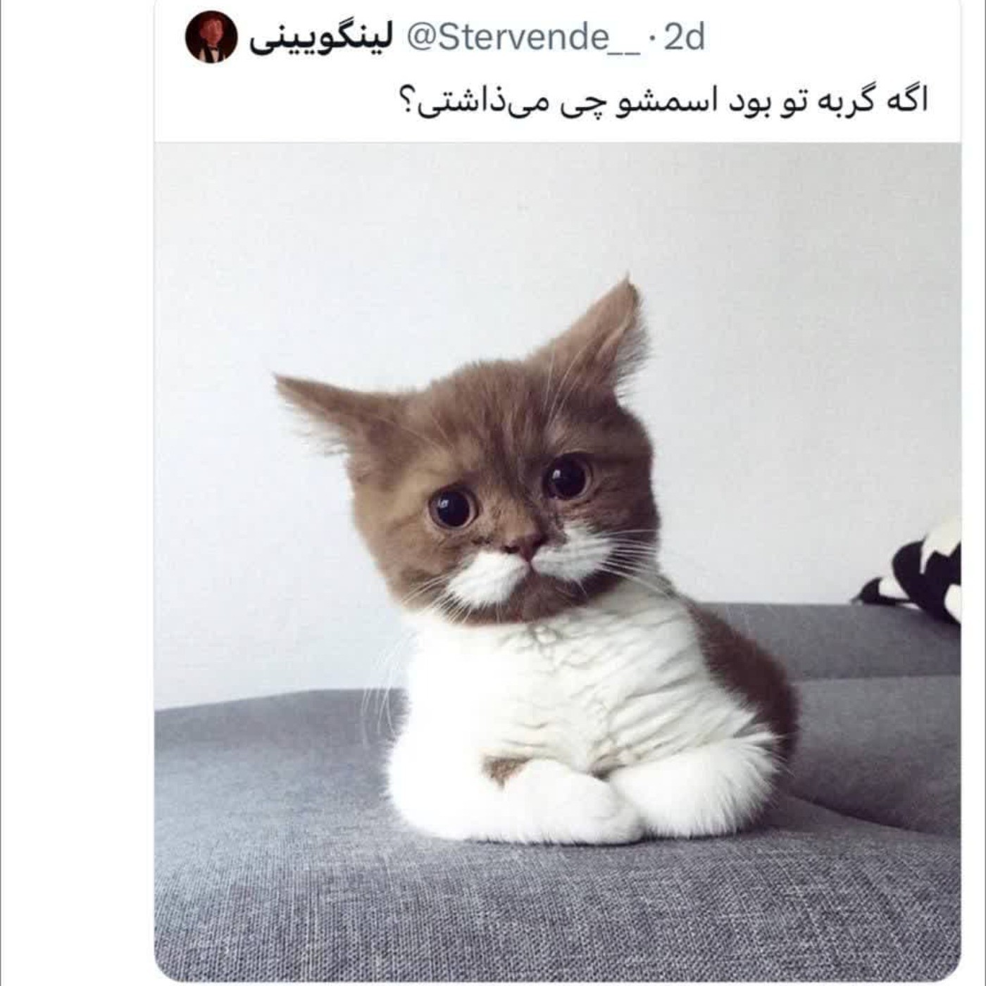 چه اسمی براش انتخاب میکردین؟😂