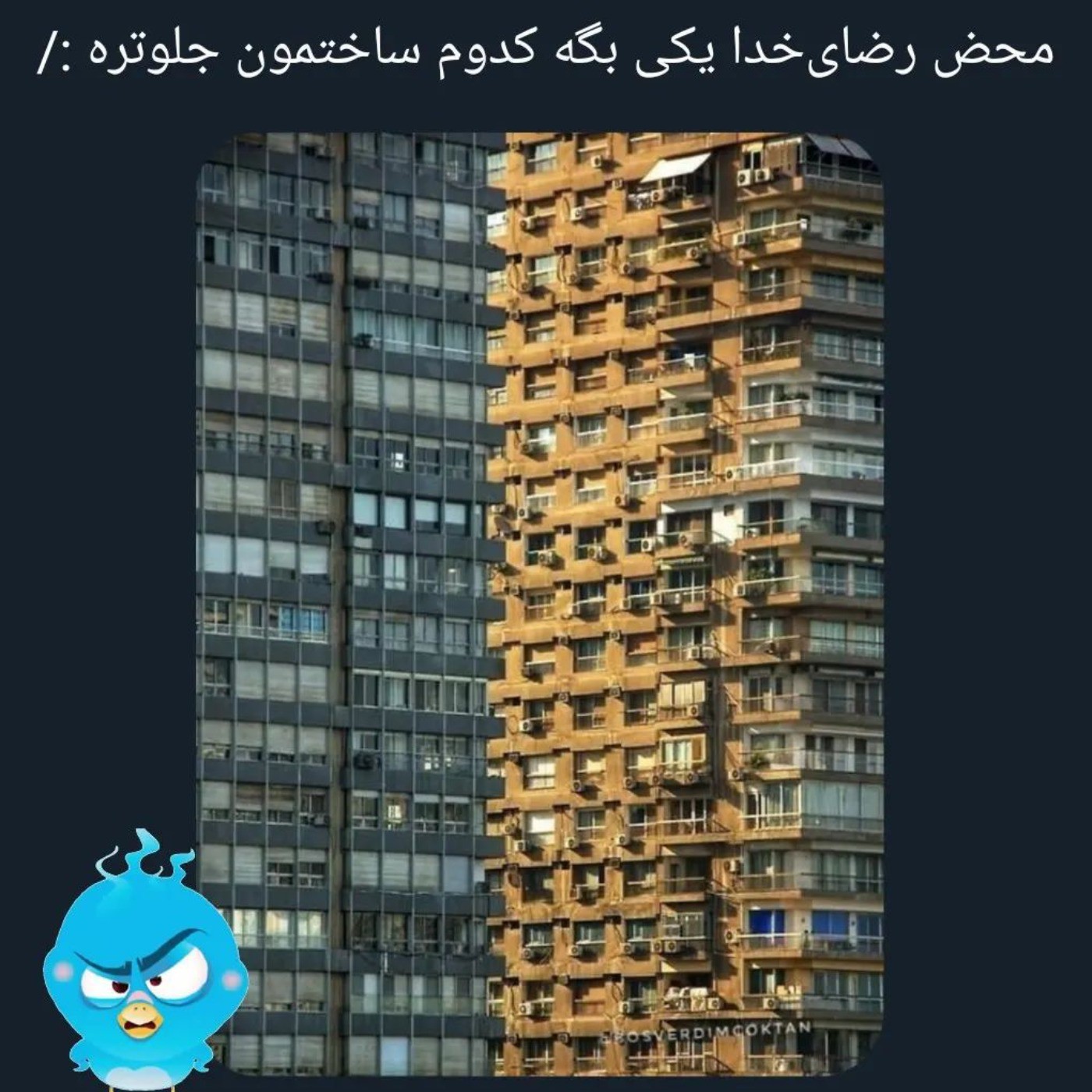 کدومش جلوتره؟ 🤔