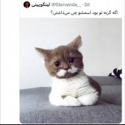 چه اسمی براش انتخاب میکردین؟😂