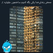 کدومش جلوتره؟ 🤔