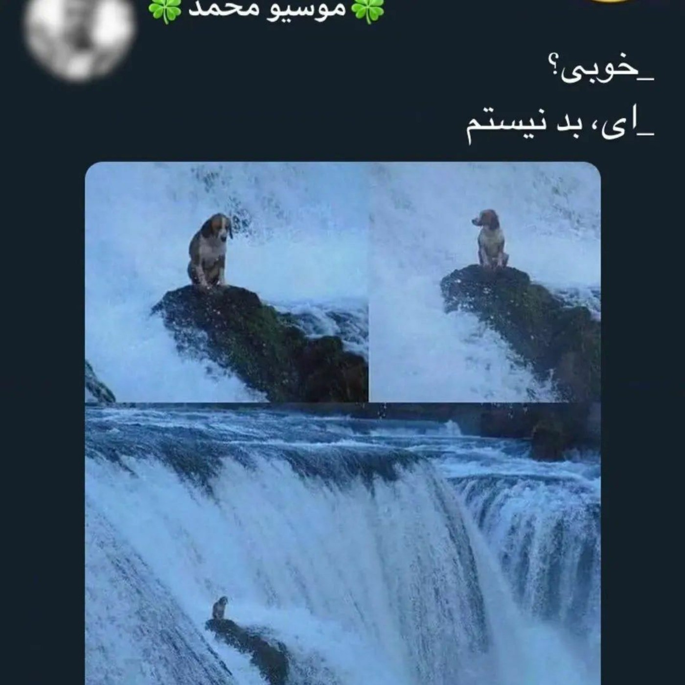 خوبی؟💔‌‌‌‌‌‌‌‌‌‌‌‌‌‌‌‌‌‌‌‌‌‌‌