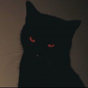 پروفایل گربه سیاه دارک و ترسناک