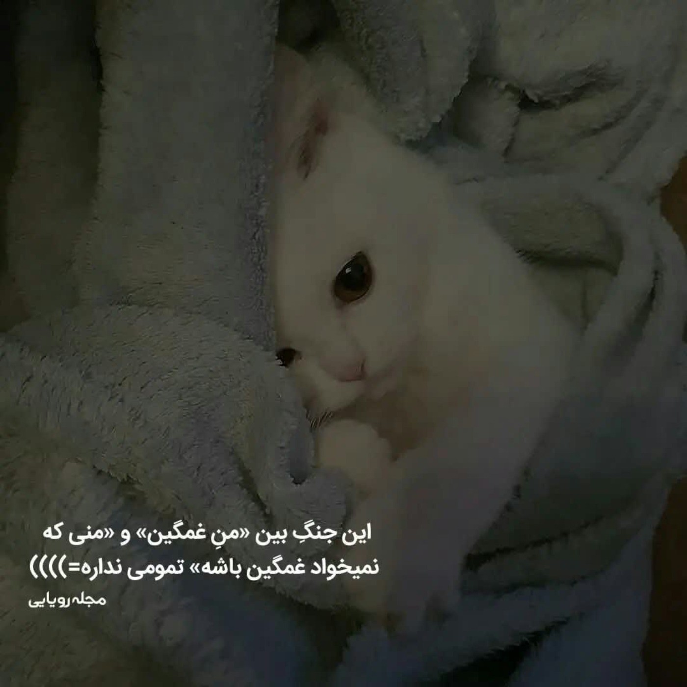 واقعا چرااا...‌‌‌‌‌‌‌. ‌‌‌‌