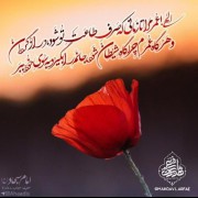 ‌✨الهے! عمر مرا تازمانی که صرف اطاعت تو شود ..........