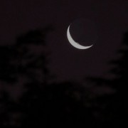 مثِ ماه تو آسمون، تنهام ولی میدرخشم :)