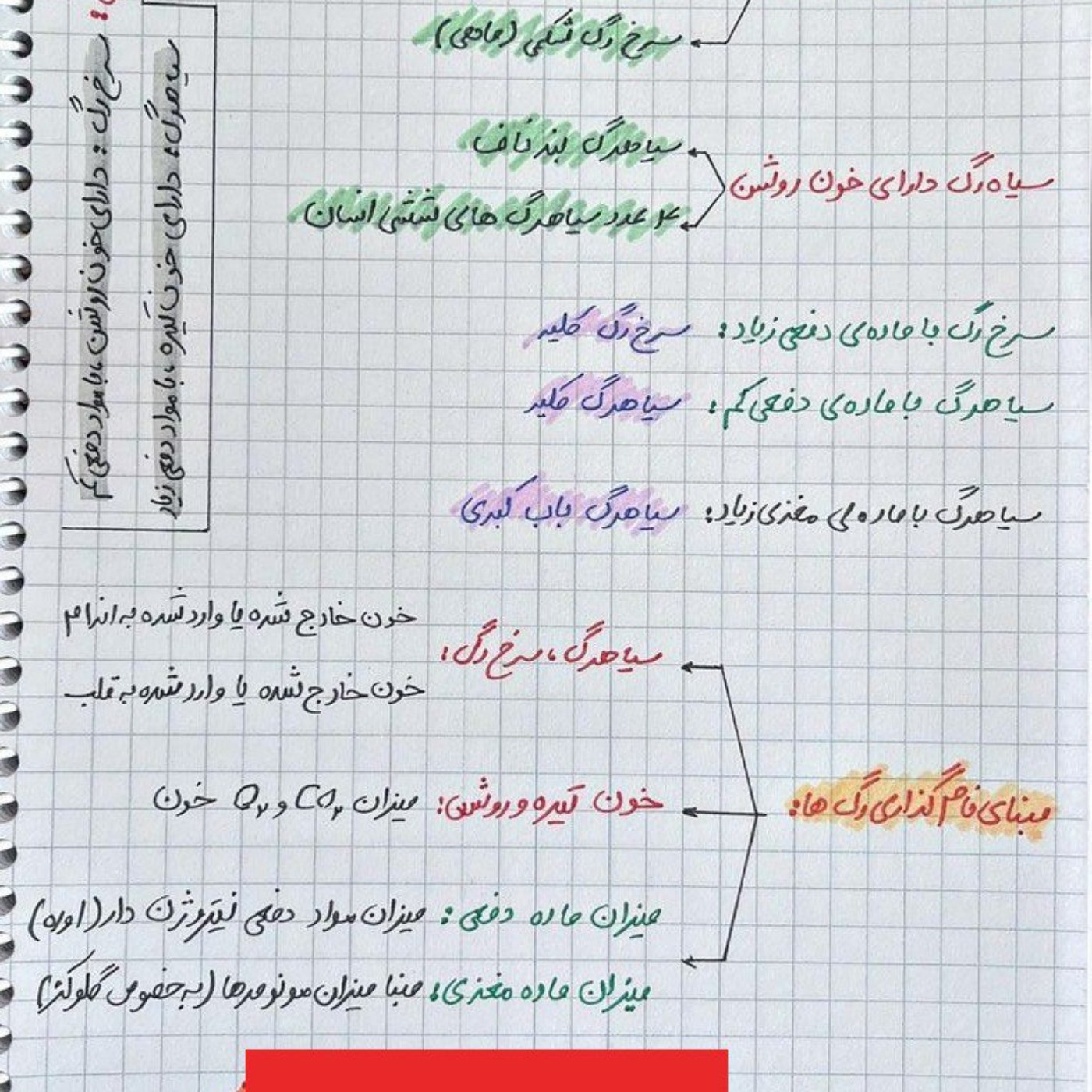 تجربیای عزیزم این بخشم مال خدتونه 🫡🤍