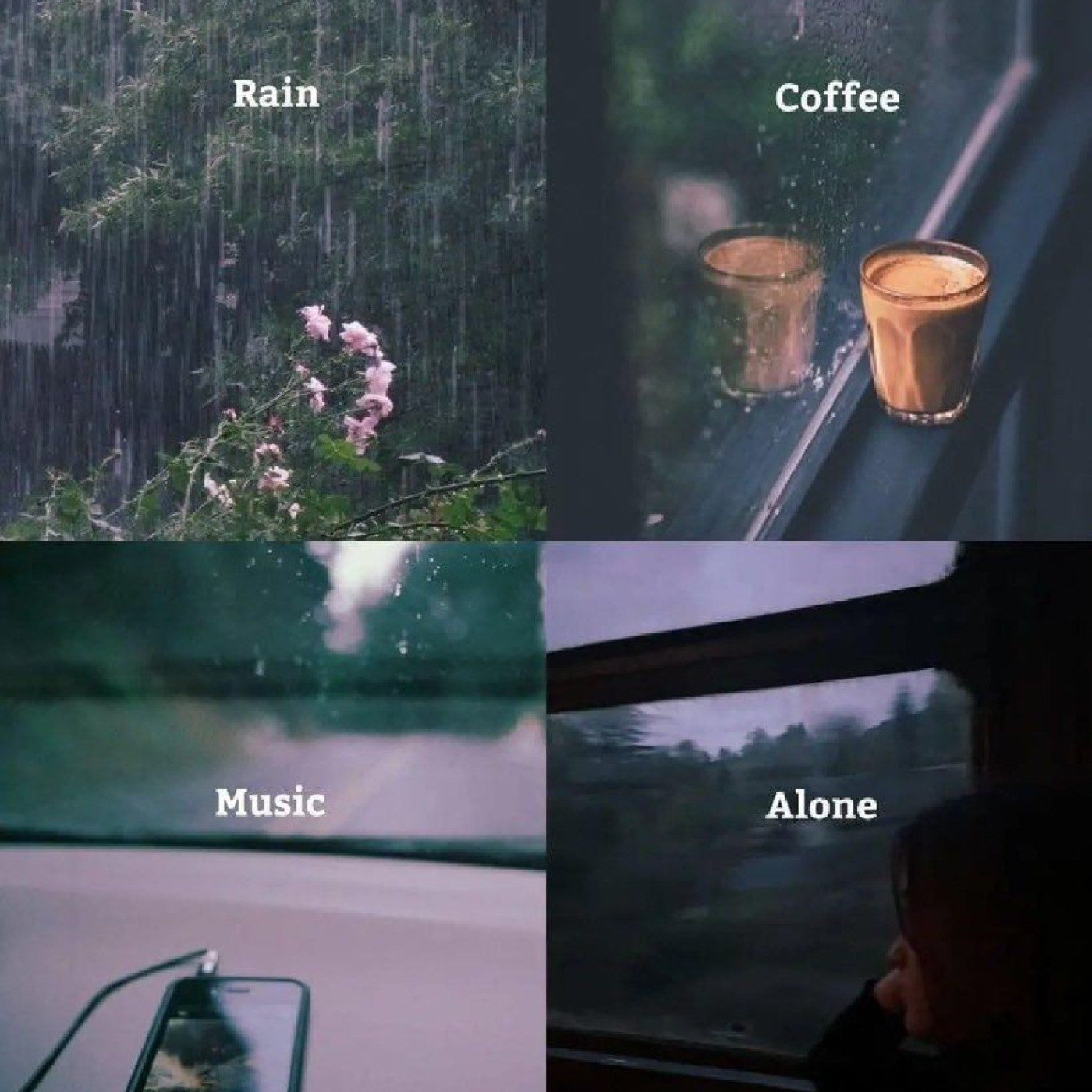 چند تا چیز ساده اما حال خوب کن! قهوه، بارون، تنهایی، بارون💫