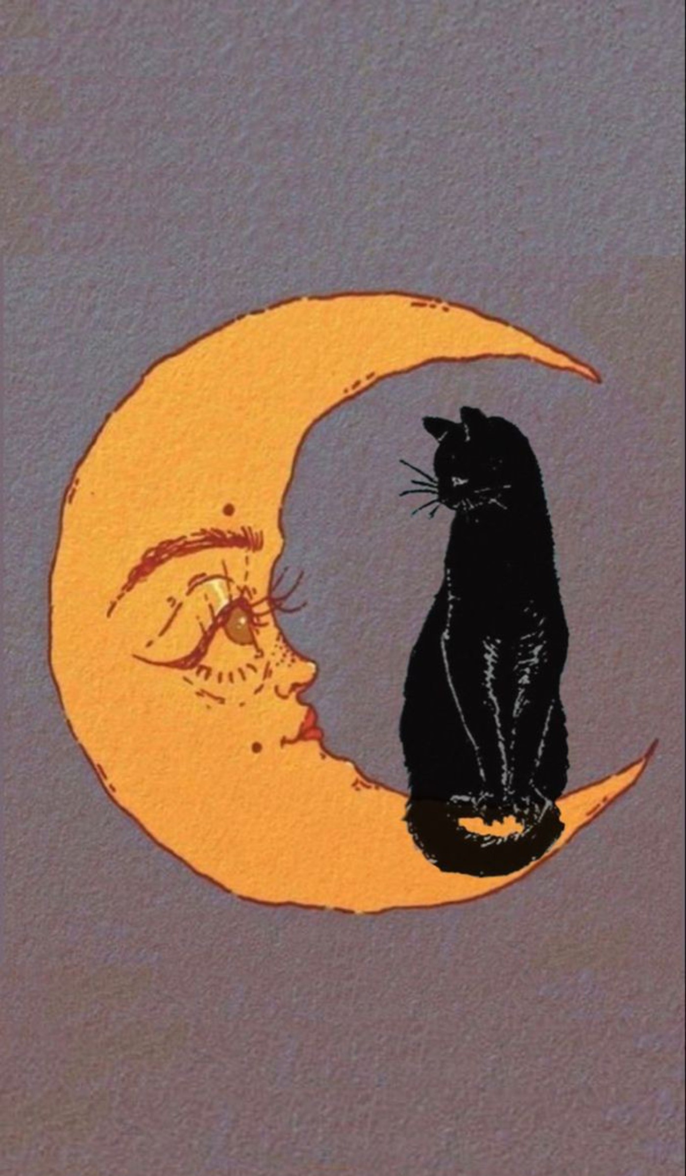 🐈🌜‌‌ ‌‌ ‌‌ ‌‌ ‌ ‌ ‌‌