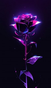 🌷💜‌‌ ‌‌ ‌‌ ‌‌ ‌‌ ‌‌ ‌‌ ‌‌ ‌‌