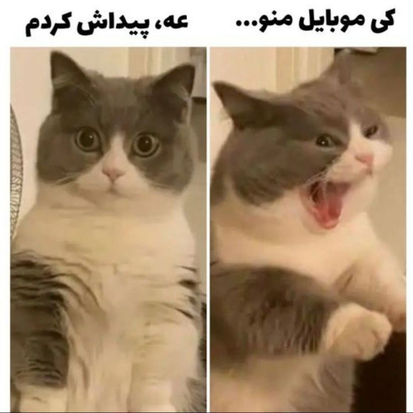 من🤣🗿‌‌‌‌‌‌‌‌‌‌‌‌‌‌‌‌‌‌‌‌‌‌‌‌‌‌