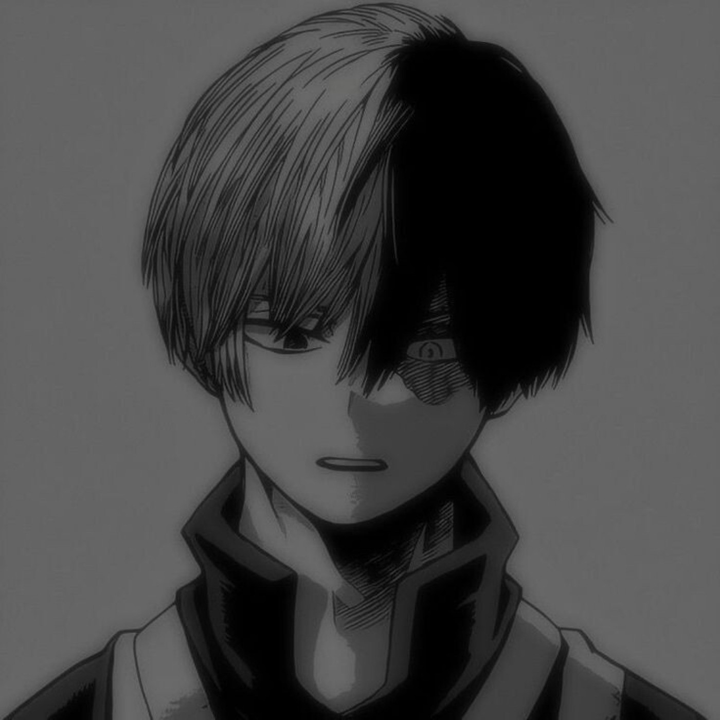 Profile anime / shoto Todoroki 