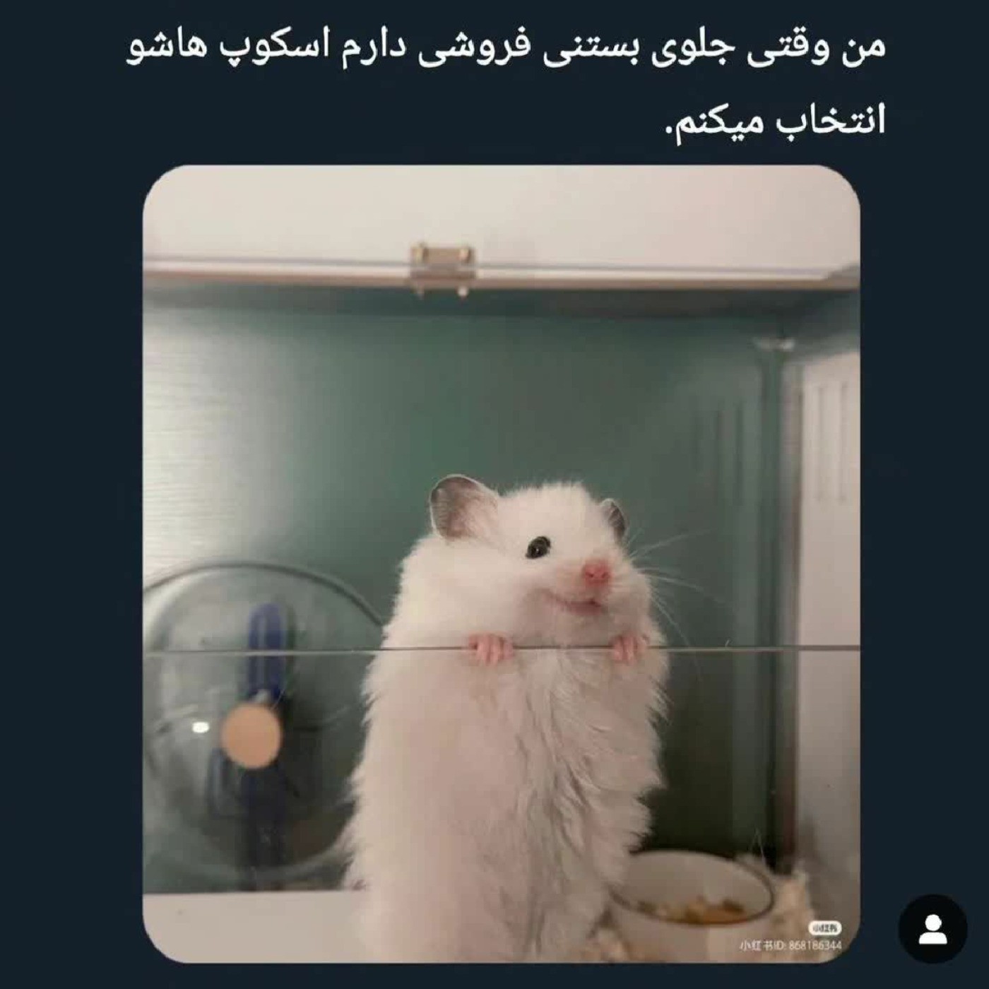 هه من...:)!‌‌‌‌‌‌‌‌‌‌‌‌‌‌‌‌‌‌‌‌