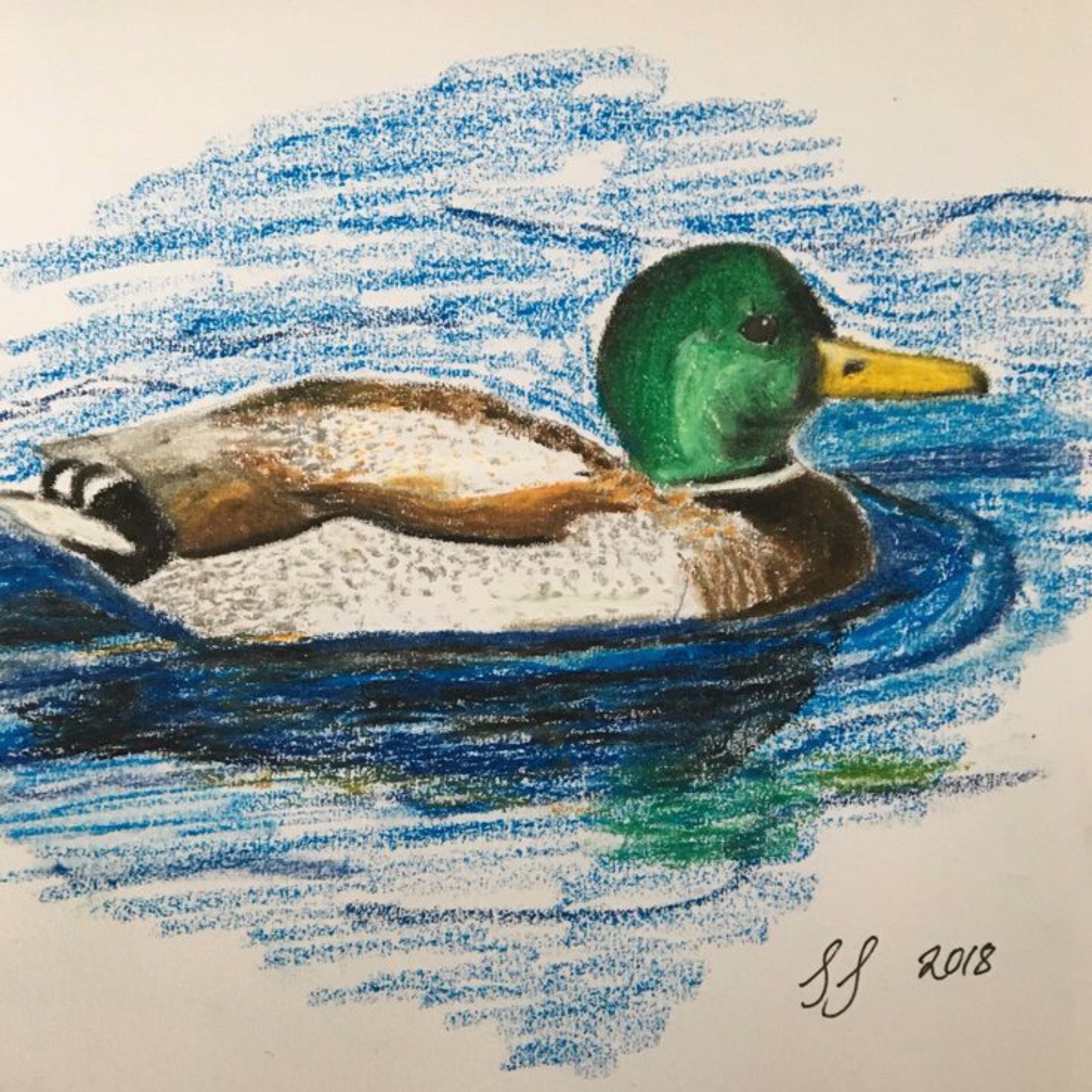 نقاشی /اردک /مداد رنگی 🎨🦆🦆🦆🦆