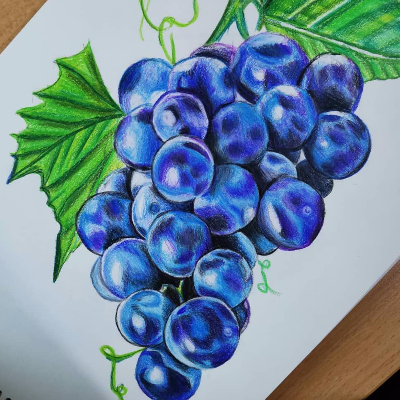 نقاشی /انگور /مداد رنگی 🎨🎨🍇🍇