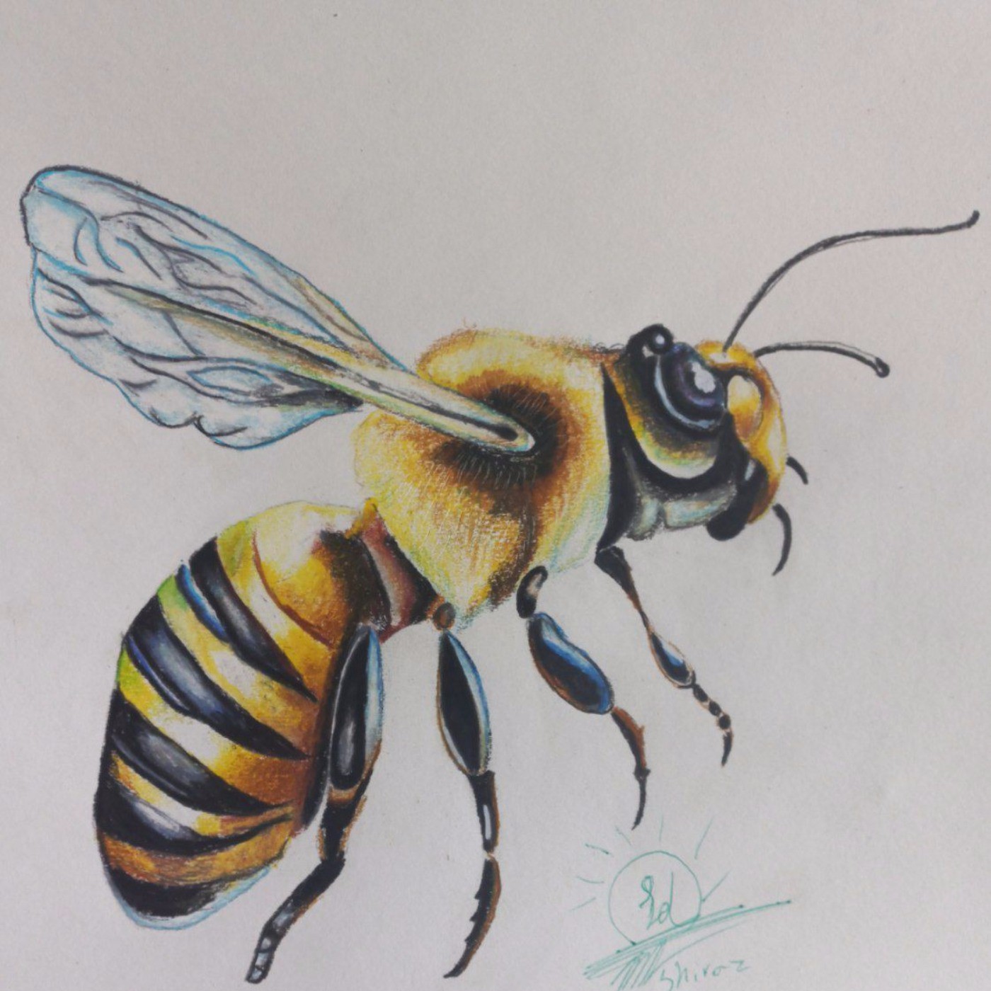 نقاشی /زنبور عسل /مداد رنگی 🎨🌼🐝
