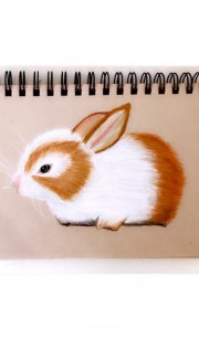 نقاشی /خرگوش/مداد رنگی 🎨🐇🌼🦥🦥
