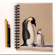 نقاشی /پنگوئن /مداد رنگی 🎨🐧🐧🐧