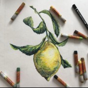 نقاشی /لیمو /پاستیل 🖍🖍🍋🍋🍋🍋