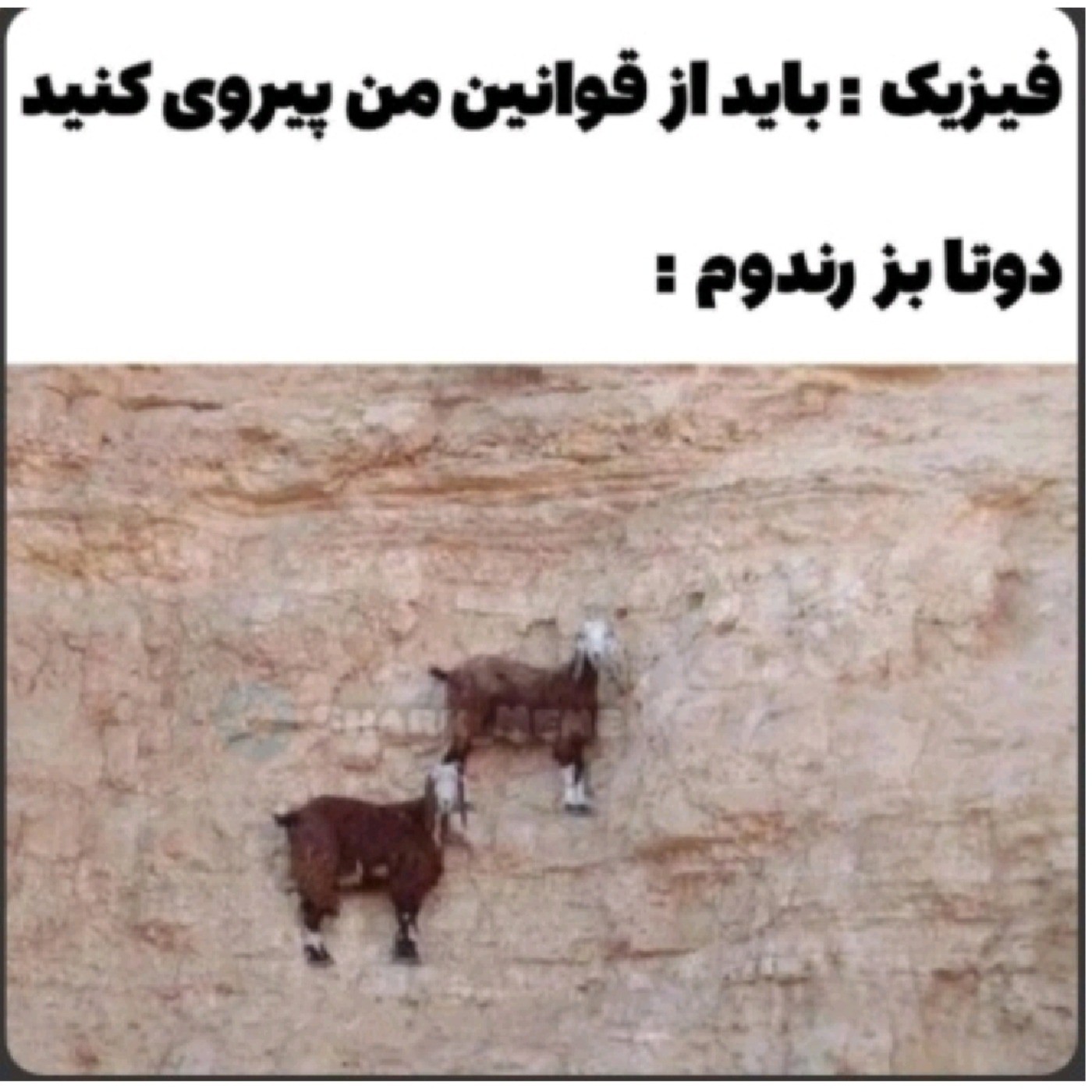 دوتا بز رندوم🐸‌‌‌‌‌‌‌‌‌‌‌‌‌‌‌‌‌‌‌‌‌‌‌‌‌‌‌‌‌‌‌‌‌‌‌‌‌‌‌‌‌‌‌‌‌