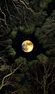 بکگراند زیبا ماه 👑🌚 ‌ ‌