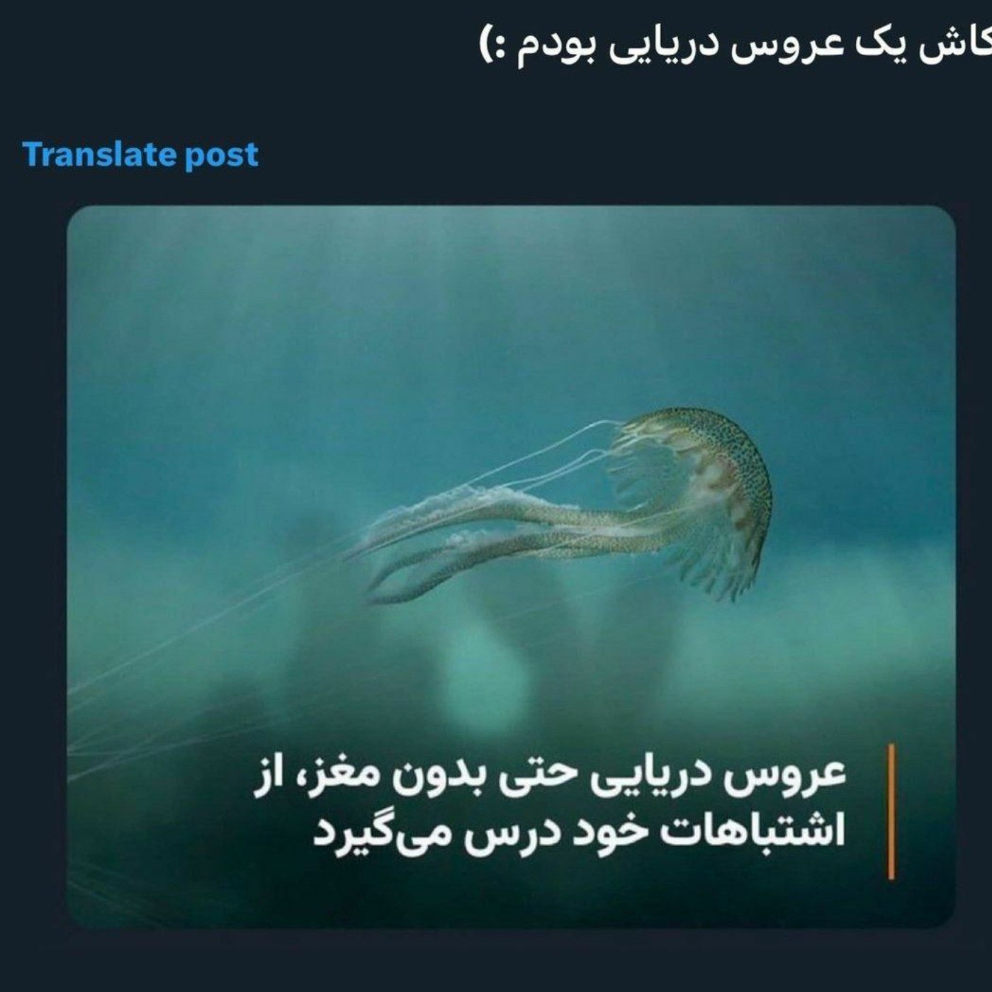 کاش عروس دریایی بودم............