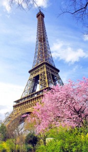 بک گراند برج ایفل....پاریس.فرانسه🇫🇷