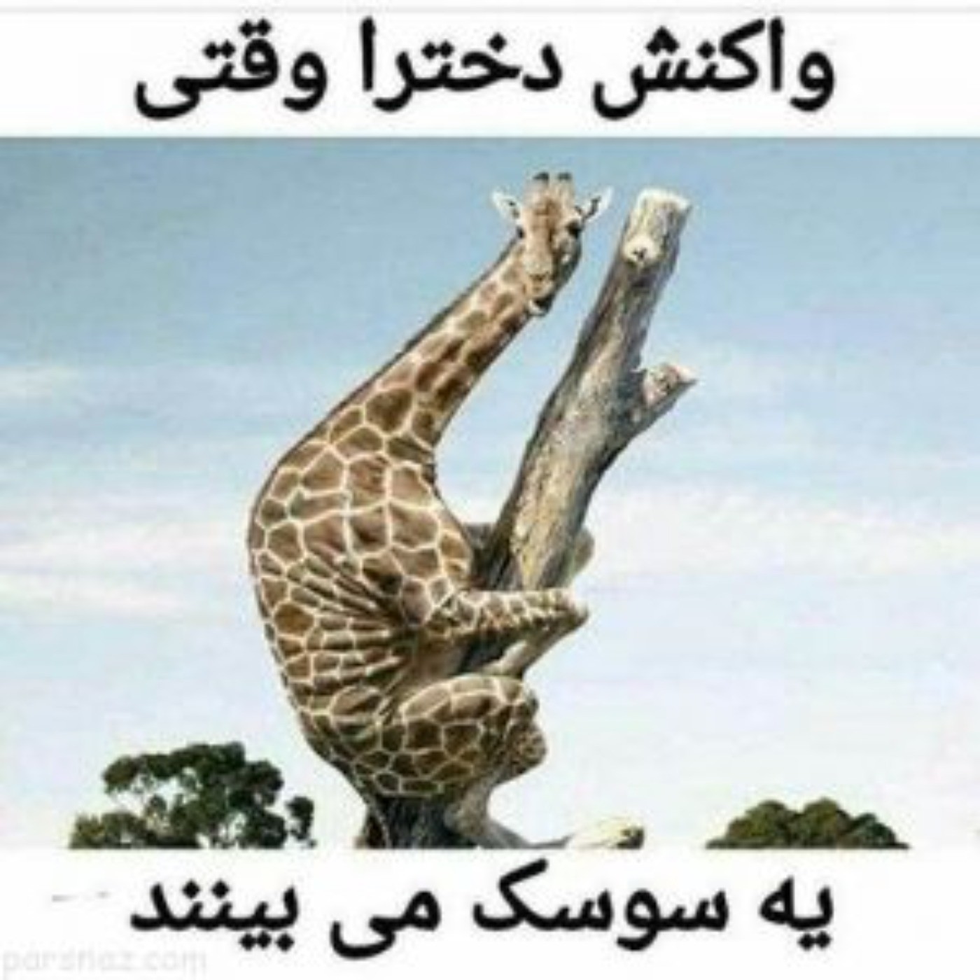 یعنی خود خودمممممم😂😂🙂🙂🙂😅😅