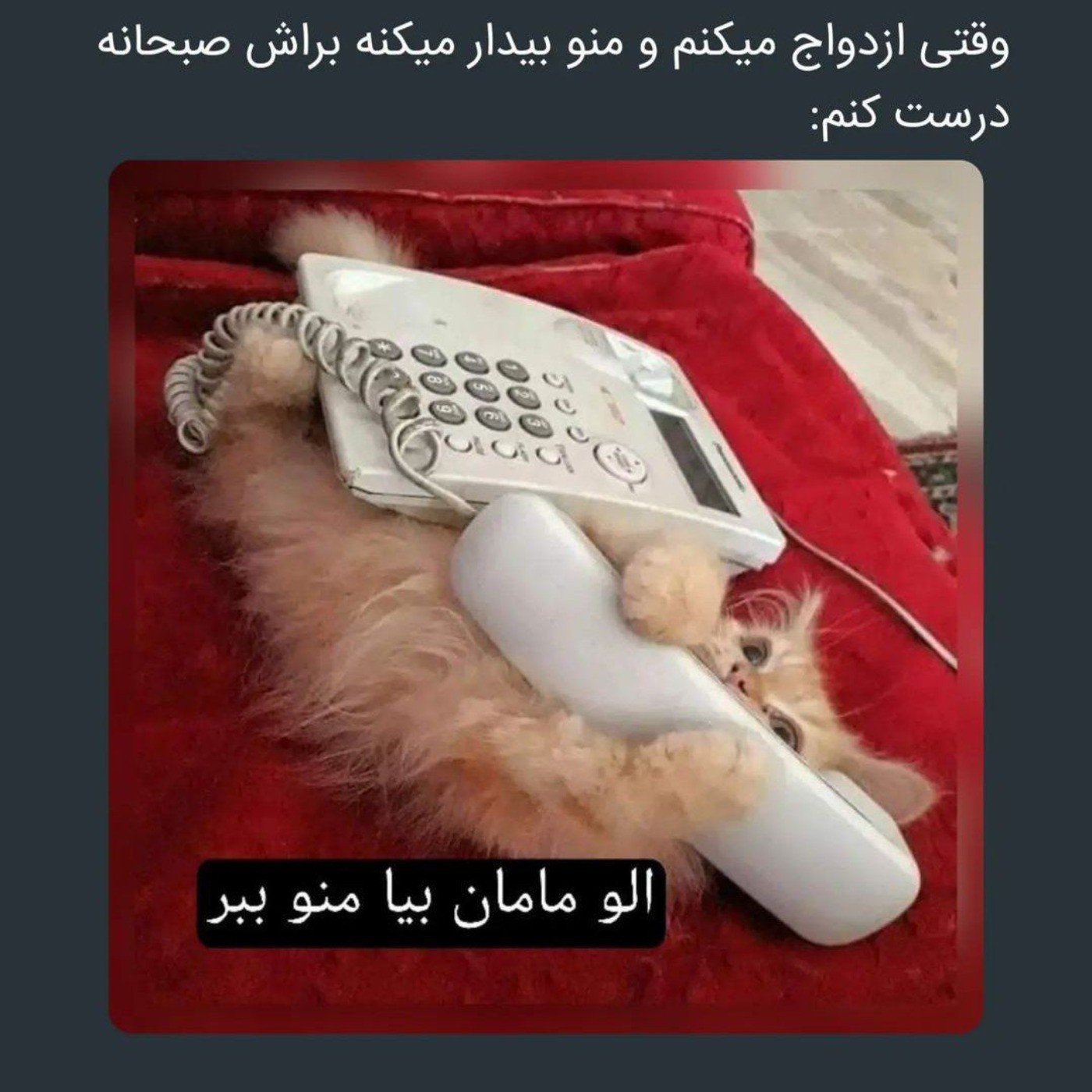 مامان بیا منو ببر...............