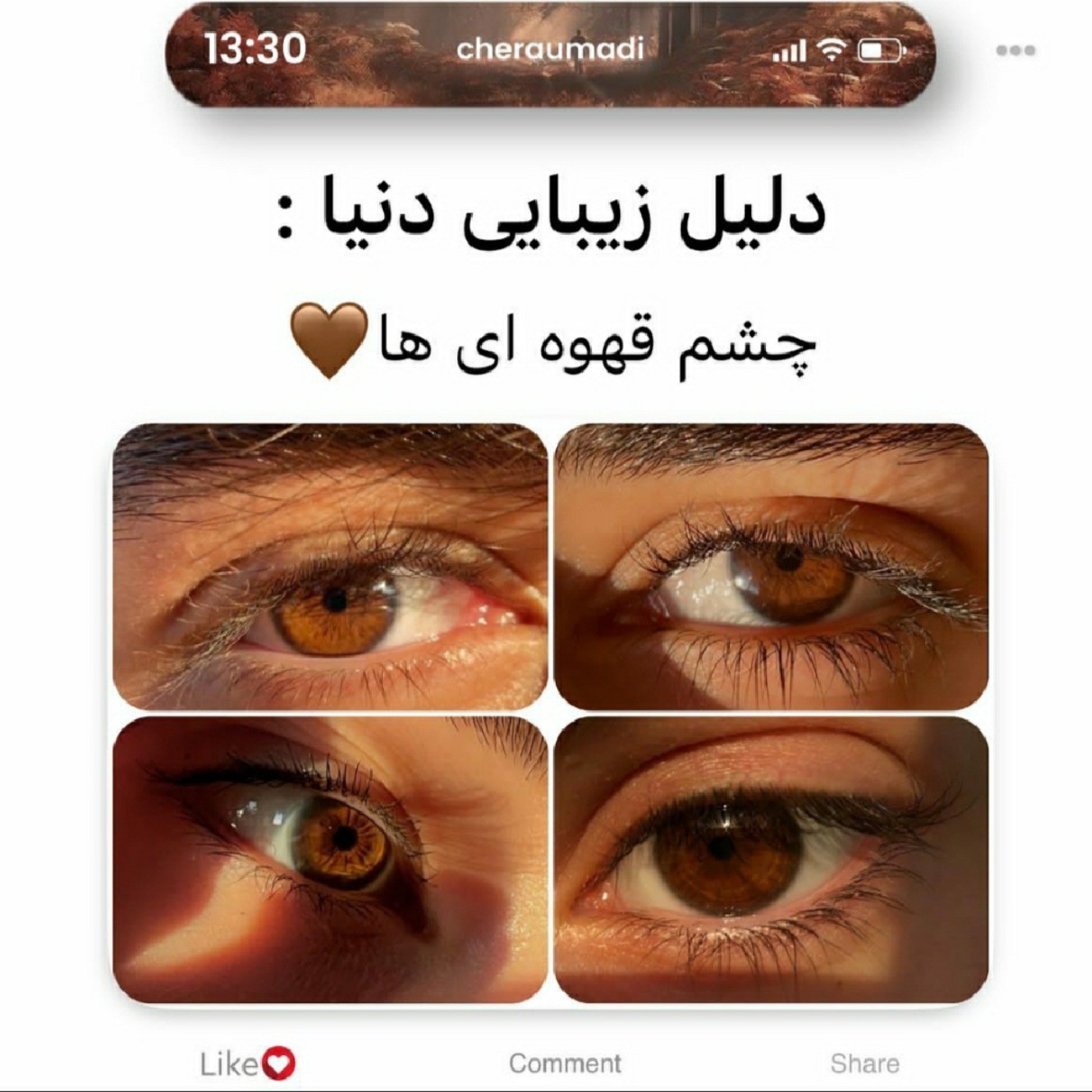 مَنی کِ چِشمام قَهوه ایه👀🩶✨️