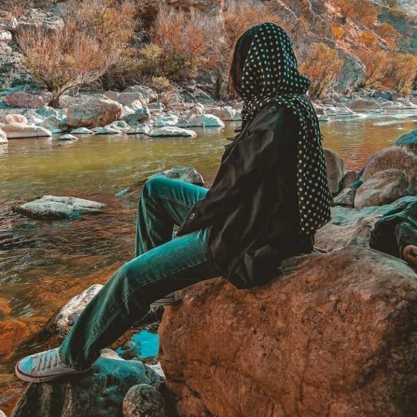 پروف طبیعت دریا صخره 🌿🫧🌊🦆🍒