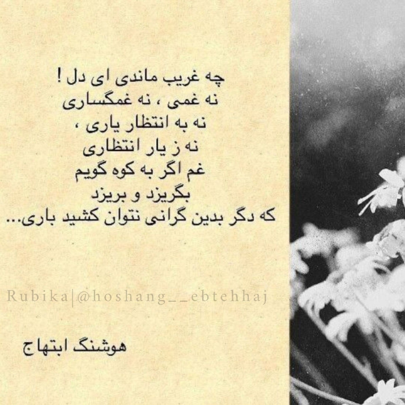 چه غریب ماندی ای دل نه غمی نه غمگساری...