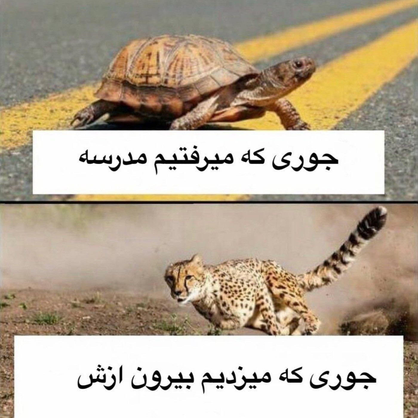 جوری که می‌رفتیم مدرسه VS جوری که می‌زدیم بیرون🤌😂