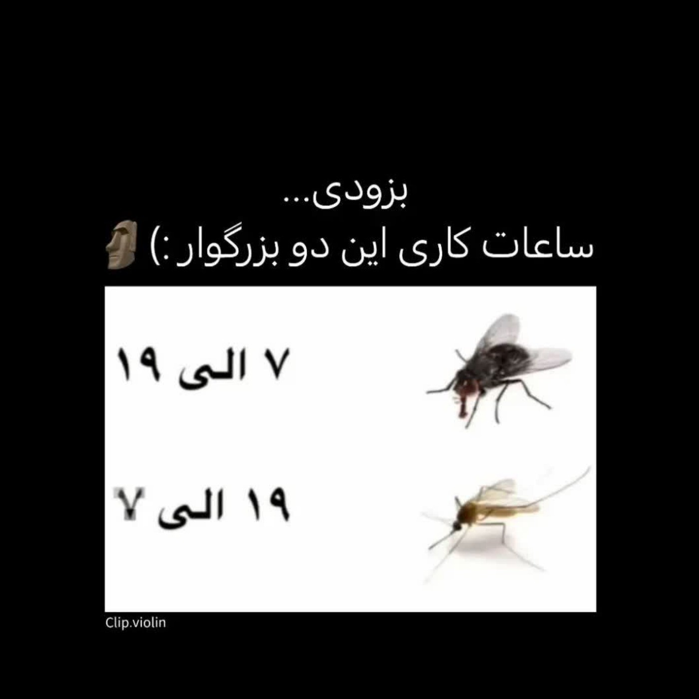 بزودی ساعت کاریشون آغاز میشه🚶🏻‍♀️