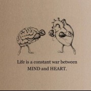 زندگی جنگی است بین ذهن و قلب(:💔