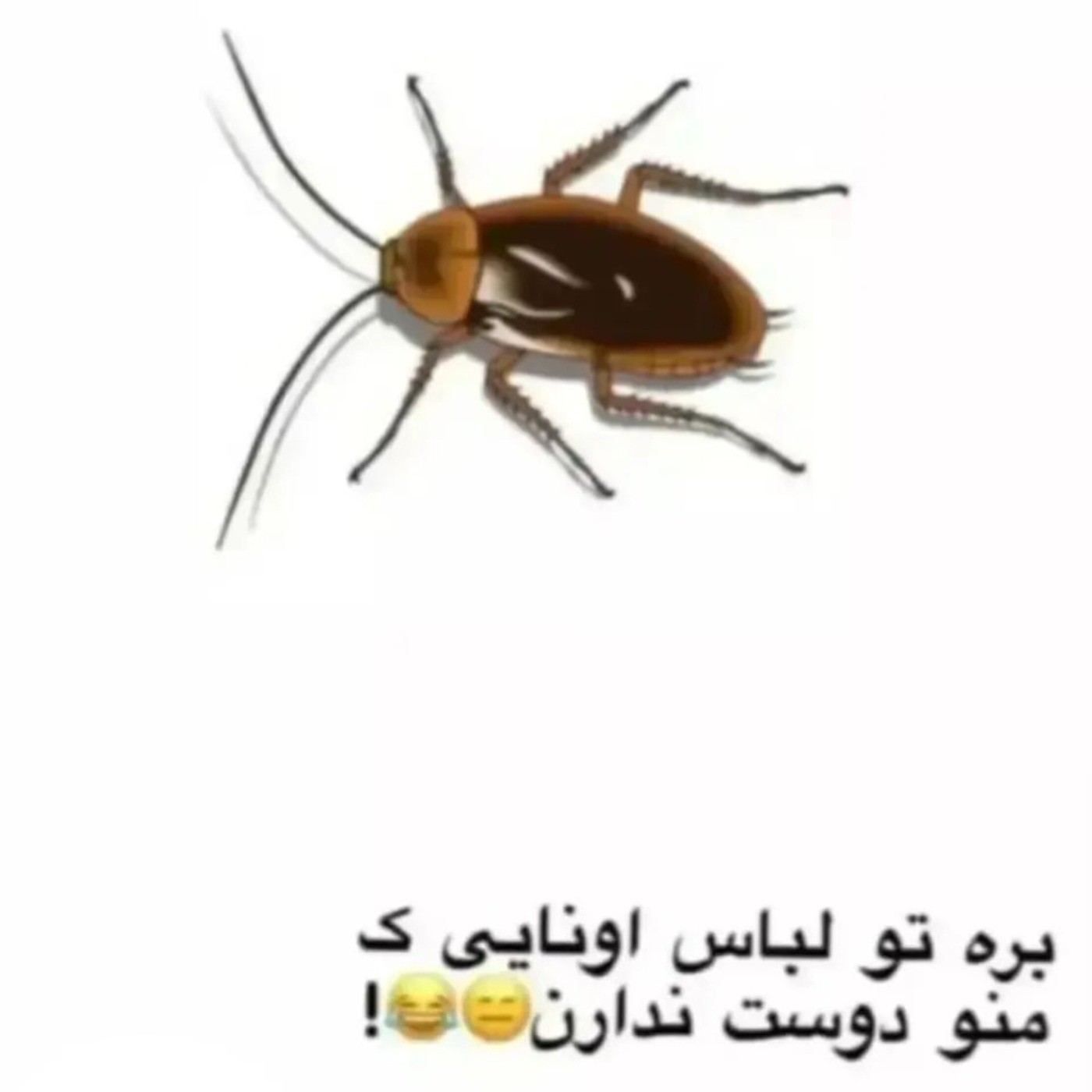 الهههههعههههی تو پیرهنه کسی که دوشم ندارع🤣