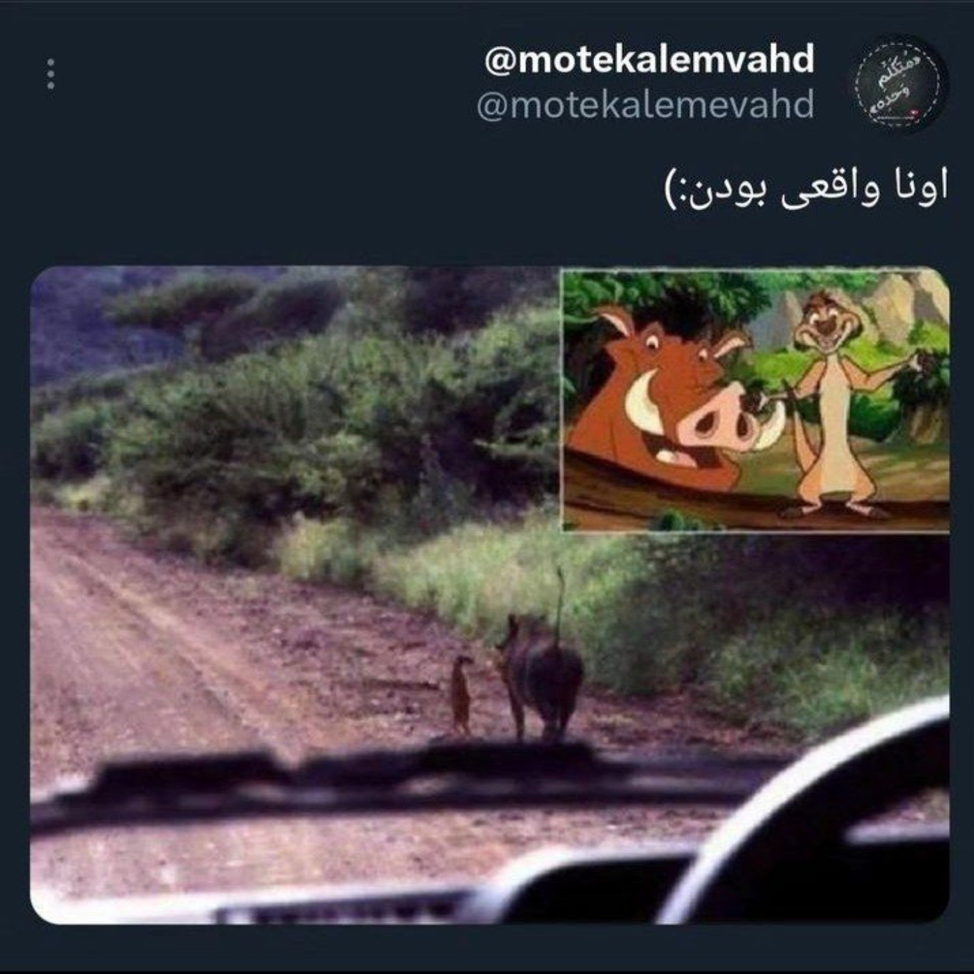 بچها اینا واقعی بودن:)‌‌‌‌‌‌‌‌‌‌‌