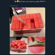 با اختلاف بهترین و محبوب ترین میوه تاریخ😁🍉