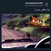 بچها اینا واقعی بودن:)‌‌‌‌‌‌‌‌‌‌‌