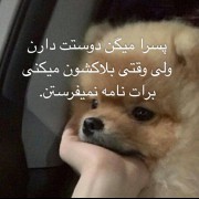 خببببب چرا نامه نمیفرستیدددد؟؟😔😂