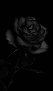 بکگراند زیبای گل سیاه سفید غمگین❤