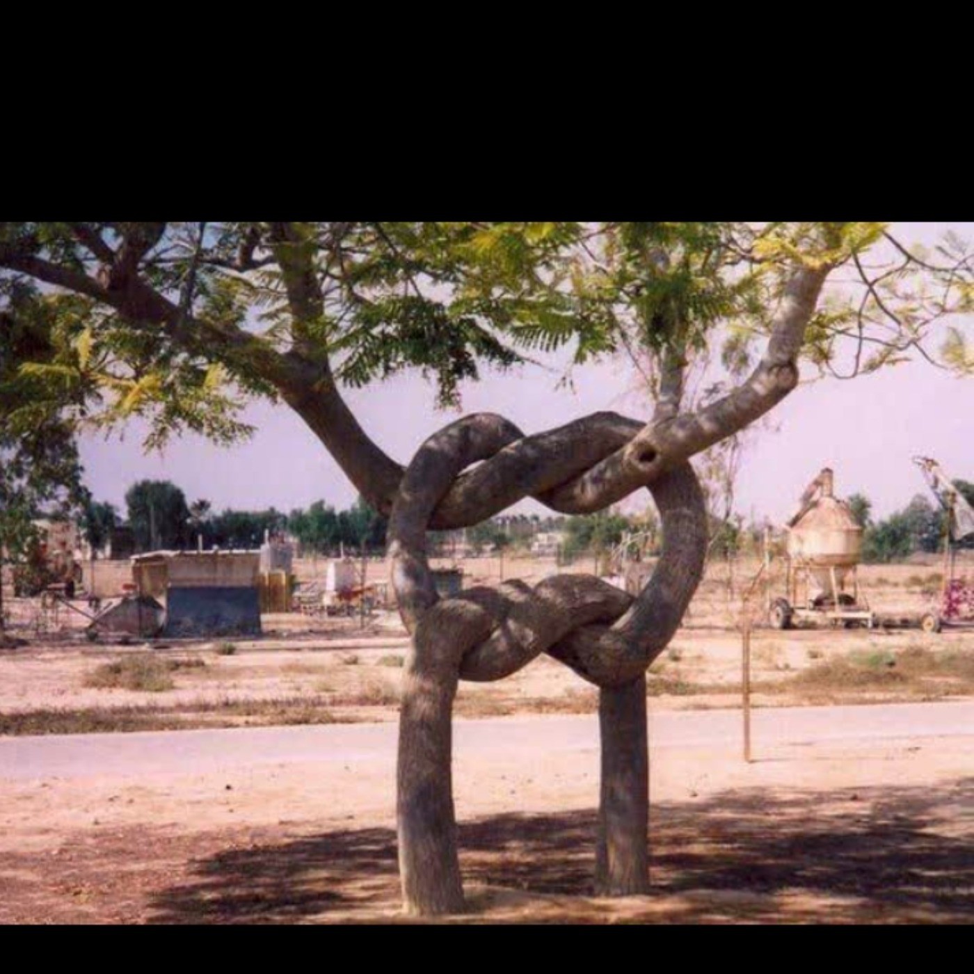 دلم میخواد بدونم اونی که این گره رو زده، بختش باز شده یا نه