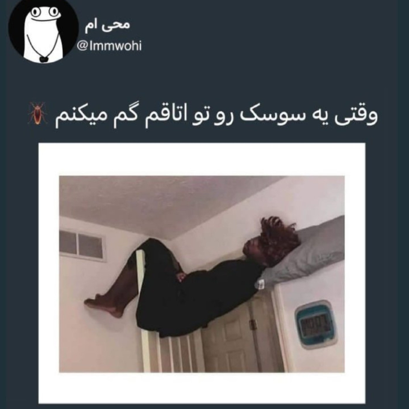 من وقتی یه سوسک رو تو اتاقم گم میکنم🤦🏻‍♀️😂