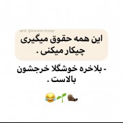 خجالت نکش رفیق 😉 خجالت نداره خوشگلی دیگه 😀