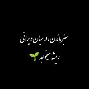 ریــــــــــشه می خــواهد...!! 