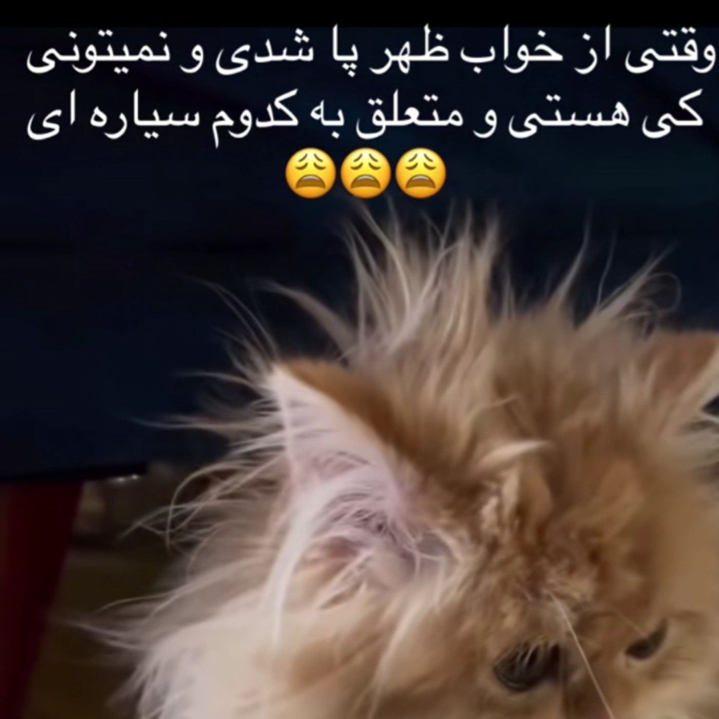 کیا اینجوری ان مث من🤚🤣😅())♡ 