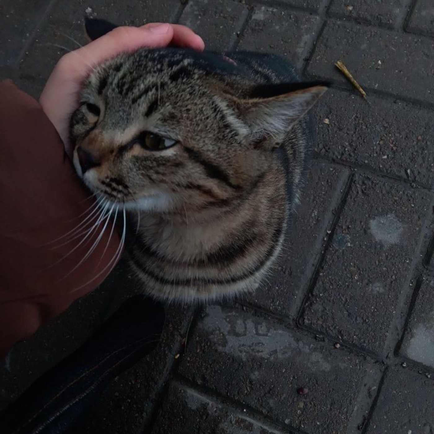 خودتو نباز، تو فوق العاده ای🤍